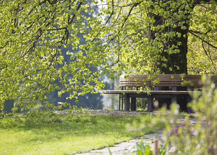 Hotel Oberwaid - Hotel. St. Gallen